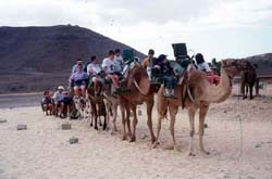 Oasis Park La Lajita - Fuerteventura - Kanarische Inseln