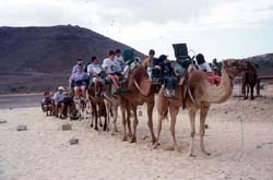 Oasis Park La Lajita - Fuerteventura - Kanarische Inseln