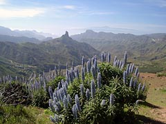 Roque Nublo - Gran Canaria