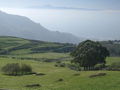 Wanderparadies Gran Canaria