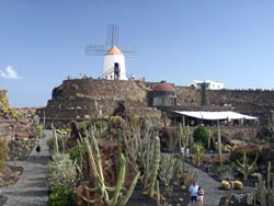 Jardin de Cactus in Guatiza - Lanzarote