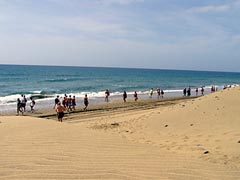 Strandwanderer - Gran Canaria