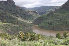 Stausee in denBergen von Gran Canaria