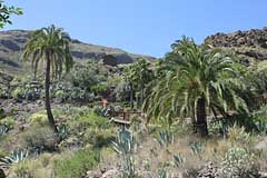 Palmitos Park - Gran Canaria