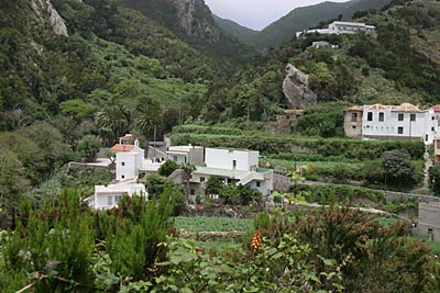 Chamorga inmitten üppiggrüner Landschaft