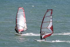 Windsurfer